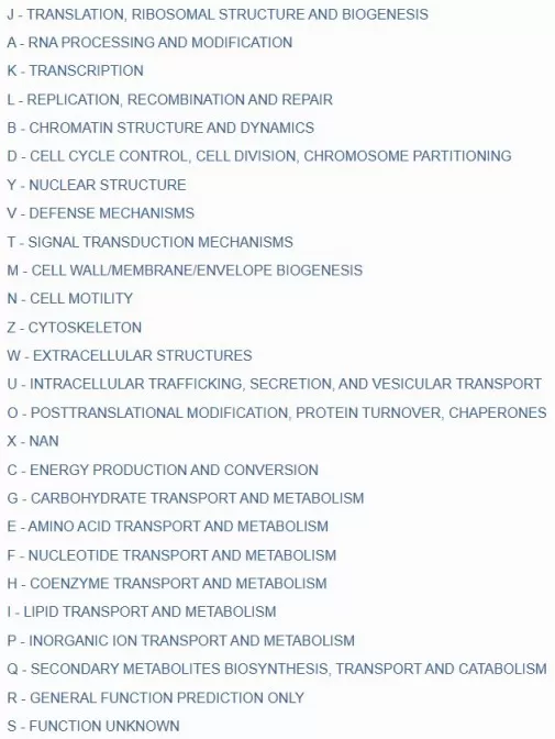 COG functional categories classification system showing NCBI COG database functional categories
